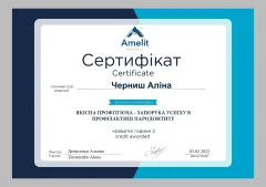alina-chernysh-docs-01