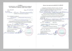 alina-chernysh-docs-09