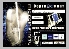 Сертифікат